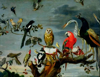 Concert of Birds